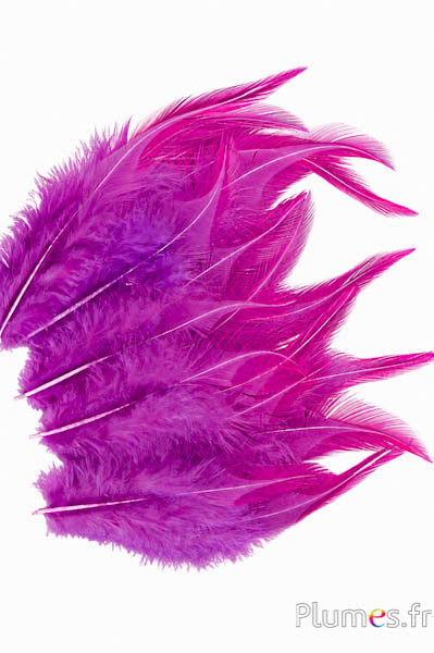Hahnenkreuz - 8-12 cm - aubergine